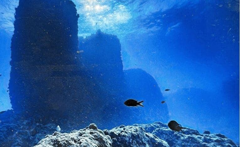 اكتشاف ميناء قديم مغمور بالمياه قرب معبد تابوزيريس ماجنا بالإسكندرية