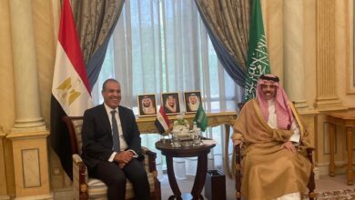 وزير الخارجيه يناقش مع نظيره السعودي سبل إنهاء التصعيد الإسرائيلي في غزه