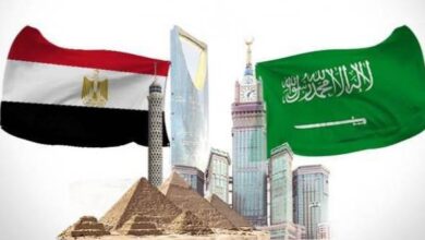 الإستثمارات المصريه تزدهر في الخليج .. تأسيس 2450 شركه بدبي وتصدر التراخيص في السعوديه