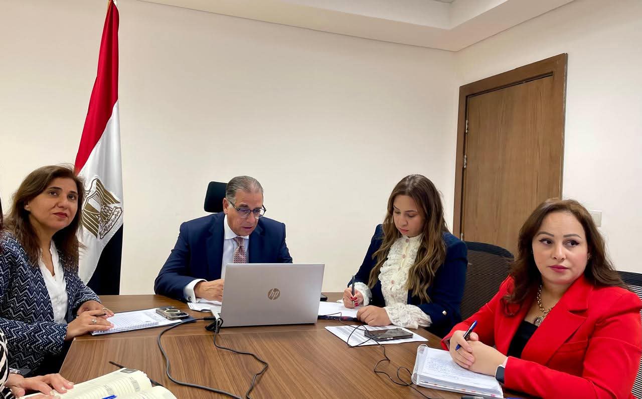 وزير الخارجيه تعقد لقاء إفتراضياً مع الجاليه المصريه في الدنمارك والسويد