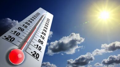 الأرصاد الجوية: طقس معتدل نهارًا ولطيف ليلاً على معظم أنحاء مصر غدًا