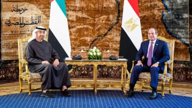 السيسي وبن زايد يؤكدان دعم مبادرة ترامب لوقف حرب غزة 