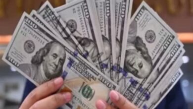 إرتفاع طفيف في سعر الدولار أمام الجنيه اليوم الجمعه19سبتمبر 2025