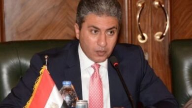 وزير السياحه ينفي سرقه آثار إضافيه من المتحف المصري