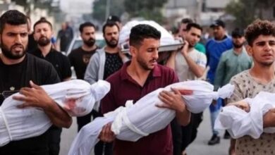إستشهاد43 فلسطينياً بينهم 4 بإنتظار المساعدات في قصف إسرائيلي في غزه
