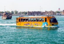 الأتوبيس البرمائي يظهر في مصر لأول مرة بنهاية العام الجاري