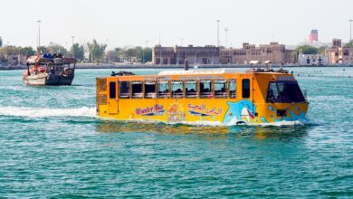 الأتوبيس البرمائي يظهر في مصر لأول مرة بنهاية العام الجاري