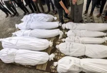 استشهاد 11 فلسطينيًا برصاص الاحتلال منذ فجر اليوم بينهم 10 في مدينة غزة