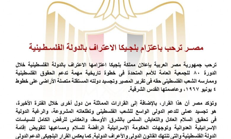 مصر ترحب بقرار بلجيكا الاعتراف بالدولة الفلسطينية 1 مصر ترحب بقرار بلجيكا الاعتراف بالدولة الفلسطينية