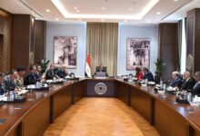 زيادة 30% في أسطول الطيران و55 مهرجانًا سنويًا.. الحكومة تضع خطة لجذب السائحين