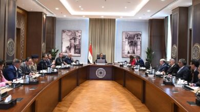 زيادة 30% في أسطول الطيران و55 مهرجانًا سنويًا.. الحكومة تضع خطة لجذب السائحين