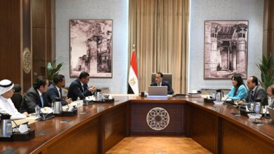 الحكومة تبحث التعاون مع مركز القاهرة المالي لإدارة حي المال والأعمال بالعاصمة الإدارية