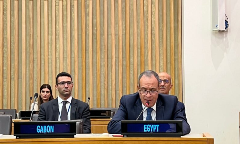 مصر تؤكد دعمها للفلسطينيين في اجتماع وزراء خارجية منظمة التعاون الإسلامي