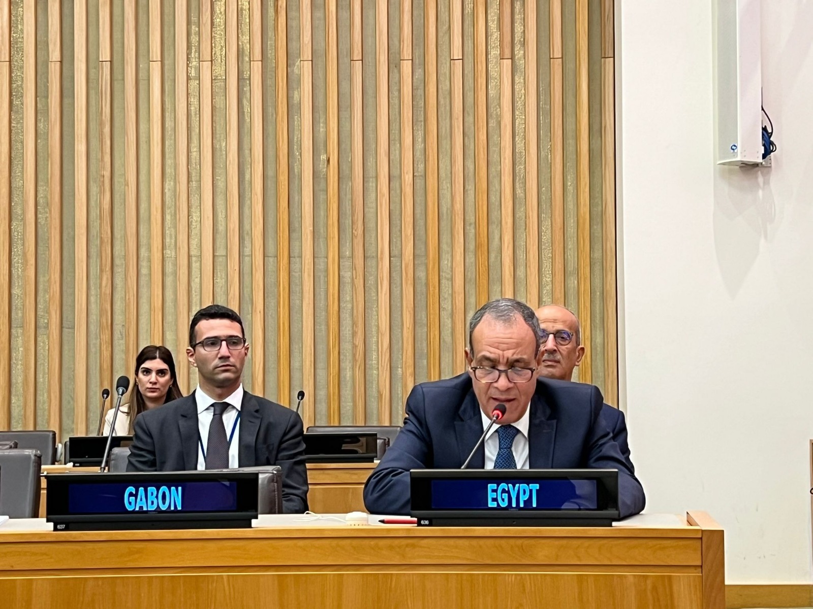 مصر تؤكد دعمها للفلسطينيين في اجتماع وزراء خارجية منظمة التعاون الإسلامي