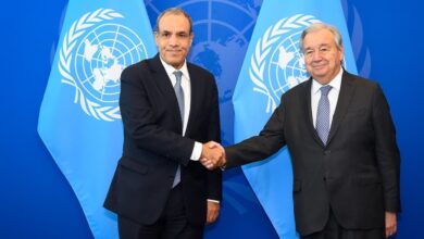 وزير الخارجية يلتقي سكرتير عام الأمم المتحدة ويؤكد ثوابت الموقف المصري تجاه غزة