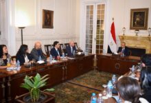 وزير الخارجية يلتقي المشاركين في برنامج زمالة شفيق جبر لتعزيز الحوار المصري الأمريكي