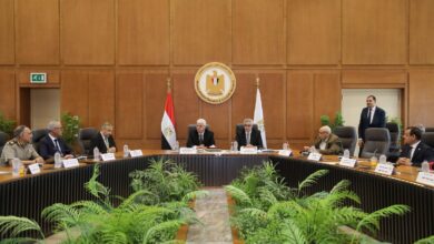 المجلس الأعلى للجامعات: 1106 باحث مصري في قائمة ستانفورد و40 ألف نشاط طلابي خلال عام