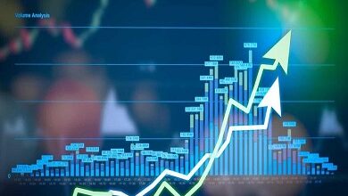 البورصة المصرية ترتفع 0.11% في بداية تعاملات الأسبوع