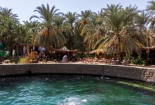 أستاذ بجامعة بني سويف: السياحة العلاجية في مصر قادرة على تحقيق 3 مليارات دولار