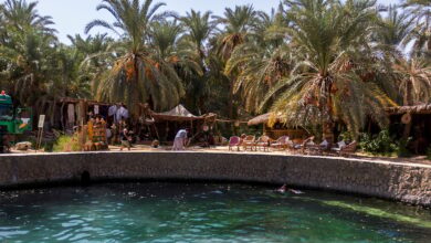 أستاذ بجامعة بني سويف: السياحة العلاجية في مصر قادرة على تحقيق 3 مليارات دولار