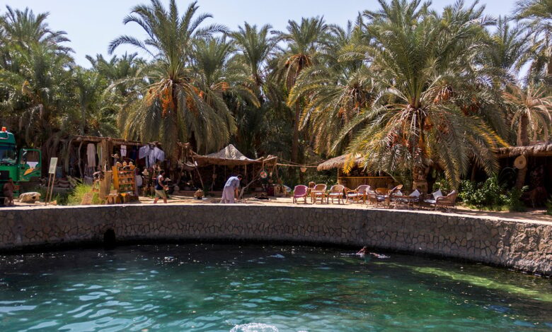 أستاذ بجامعة بني سويف: السياحة العلاجية في مصر قادرة على تحقيق 3 مليارات دولار