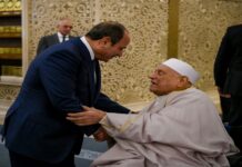 الرئيس السيسي يكرّم أحمد عمر هاشم بإطلاق اسمه على مسجد وطريق ومحطة قطار