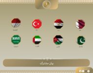 وزراء خارجية مصر و7 دول عربية وإسلامية يرحبون بخطوات حماس لإنهاء الحرب على غزة