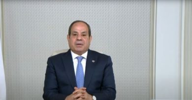 الرئيس السيسي يستقبل نائب رئيس شركة إكسون موبيل لبحث تعزيز التعاون في مجال الطاقة