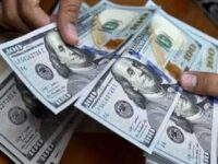 إستقرار سعر الدولار أمام الجنيه بعد قرار المركزي بخفض الفائدة