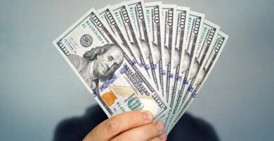 استقرار سعر الدولار أمام الجنيه في البنوك المصرية اليوم الاثنين