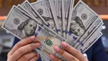 استقرار سعر الدولار أمام الجنيه في بداية تعاملات اليوم الأربعاء