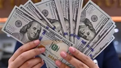 استقرار سعر الدولار أمام الجنيه في بداية تعاملات اليوم الأربعاء