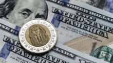استقرار سعر الدولار أمام الجنيه المصري في البنوك اليوم