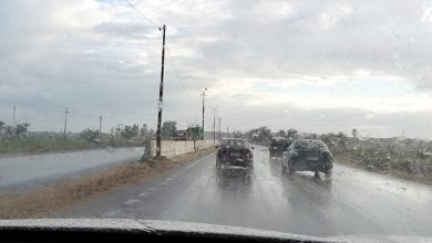 الأرصاد تكشف حقيقة سقوط أمطار على القاهرة الكبرى خلال الأيام المقبلة