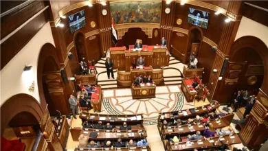 الرئيس السيسي يصدر قرارًا بتعيين 100 عضو في مجلس الشيوخ