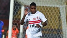 إستريلا أمادورا يشكو الزمالك إلى فيفا بسبب مستحقات صفقة شيكو بانزا