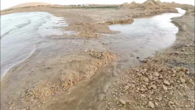 وصول تدفقات كبيرة من مياه النيل إلى مفيض باريس في الوادي الجديد