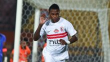 الزمالك يصدر تحذيراً للاعب شيكو بانزا بعد فيديو مثير على مواقع التواصل