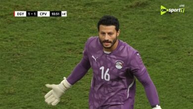 الشناوي وشوبير في قائمة الفراعنة بأمم أفريقيا بعد التألق في دورة العين الودية 2 الشناوي وشوبير في قائمة الفراعنة بأمم أفريقيا بعد التألق في دورة العين الودية