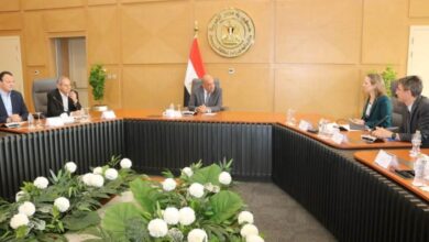 مصر والبنك الدولي يبحثان تعزيز التعاون في مشروعات الطاقة المتجددة والربط الكهربائي الإقليمي 2 مصر والبنك الدولي يبحثان تعزيز التعاون في مشروعات الطاقة المتجددة والربط الكهربائي الإقليمي