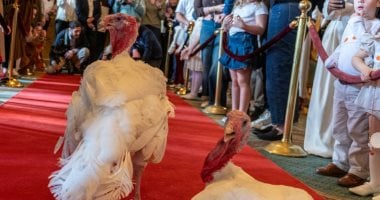 ترامب يستعد لمنح العفو السنوي لجوبل ووادل.. ديكان روميّان 1 ترامب يستعد لمنح العفو السنوي لجوبل ووادل.. ديكان روميّان