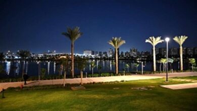 مدبولي: حديقة تلال الفسطاط أكبر حديقة مركزية في الشرق الأوسط ومفتوحة قريبًا 2 مدبولي: حديقة تلال الفسطاط أكبر حديقة مركزية في الشرق الأوسط ومفتوحة قريبًا