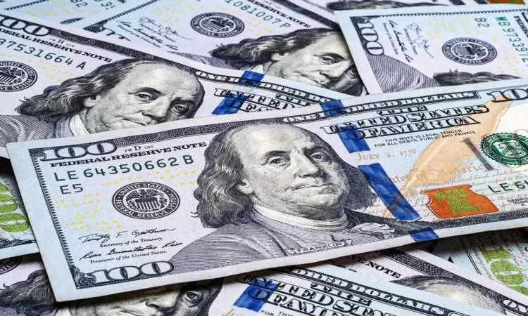 استقرار سعر الدولار أمام الجنيه المصري اليوم السبت 1 نوفمبر 2025 1 استقرار سعر الدولار أمام الجنيه المصري اليوم السبت 1 نوفمبر 2025