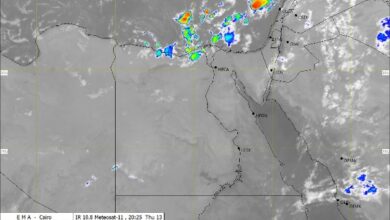 الأرصاد: استمرار السحب الرعدية الممطرة على شرق البلاد وامتدادها للوجه البحري 2 الأرصاد: استمرار السحب الرعدية الممطرة على شرق البلاد وامتدادها للوجه البحري