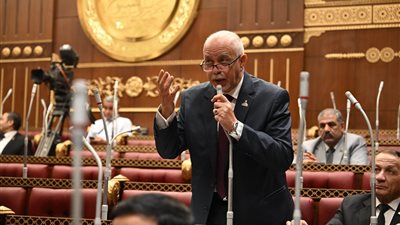 حازم الجندي :خطة الصناعة المصرية توطين وتطوير 28 قطاعًا حيويًا