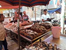 أسعار الأسماك اليوم 28 نوفمبر 2025: استقرار في السوق مع تباين في الأسعار