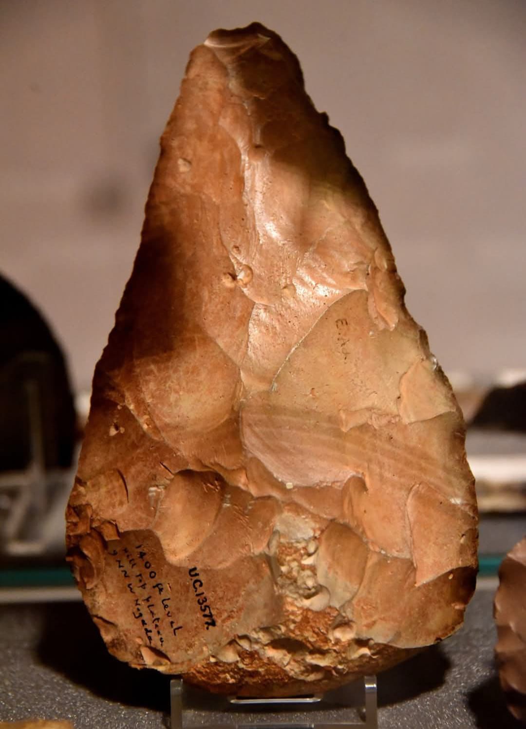 بلطة عمرها 700 ألف عام تثير الجدل.. بداية جديدة لتاريخ الإنسان في مصر أم مجرد أثر جيولوجي؟ 1 بلطة عمرها 700 ألف عام تثير الجدل.. بداية جديدة لتاريخ الإنسان في مصر أم مجرد أثر جيولوجي؟