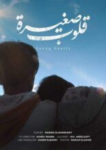 مهرجان FS-film للأفلام القصيرة جداً يُعلن جوائز دورته الثانية