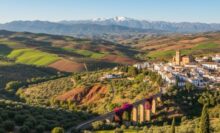 السياحة المتميزة تُنقذ الاقتصاد الإسباني: سياح ينفقون 4 أضعاف المتوسط ويُفضّلون مدريد وكاتالونيا