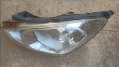 روسيا تختبر "طيور مسيرة" مزودة بشرائح دماغية للتجسس والمراقبة